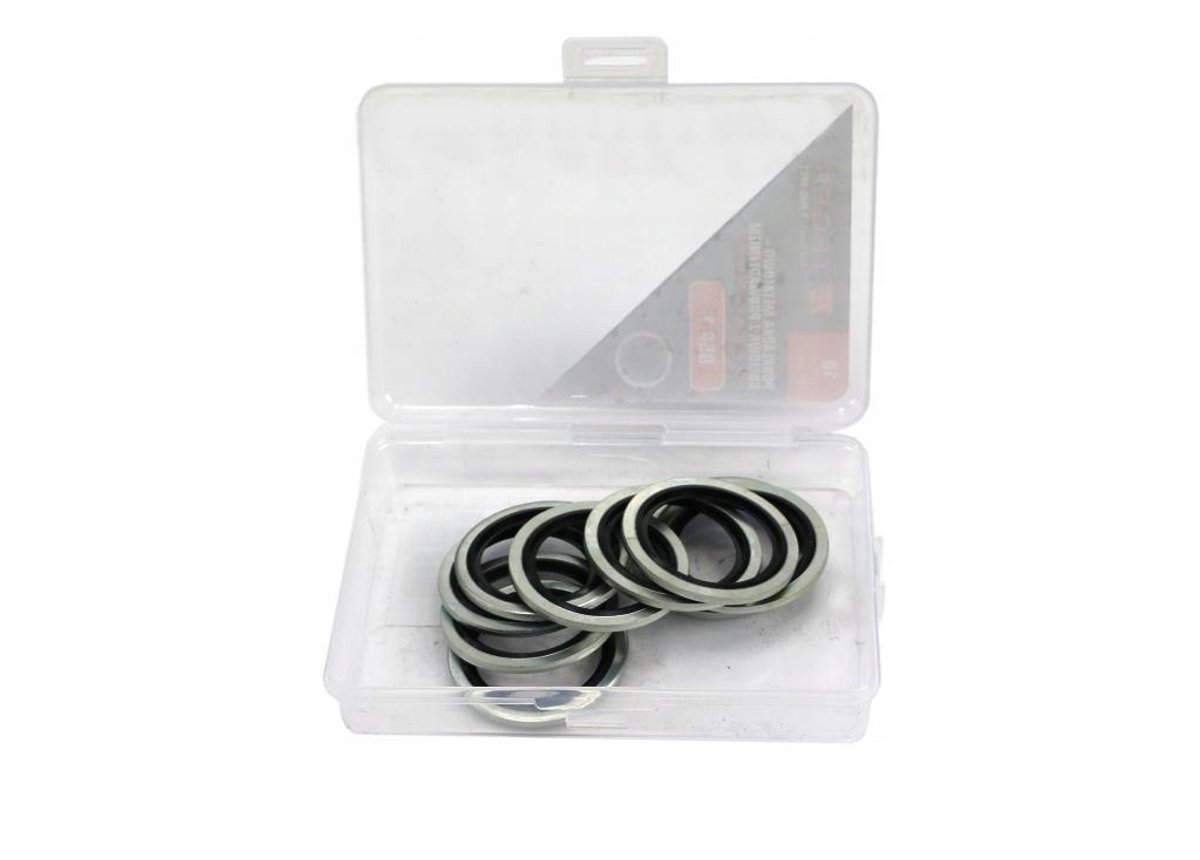 Teger Metal-Rubber Ring met Leiding BSP 1" (10 stuks)