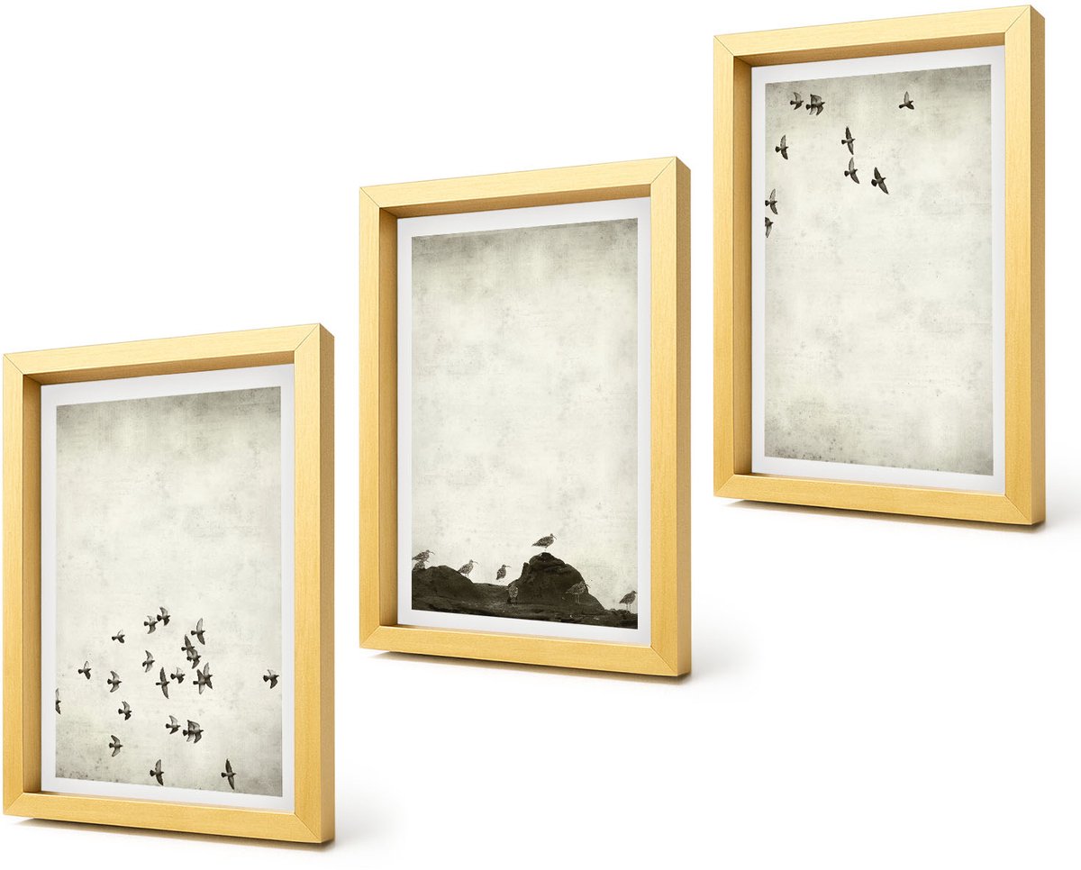 Coloray 4-Delige Schilderij Set - Vogels in vlucht, geschilderd in minimalistische stijl. - 20 x 30 cm - Decoratieve Schilderijen - Wanddecoratie - Hal - Interieur Decoratie