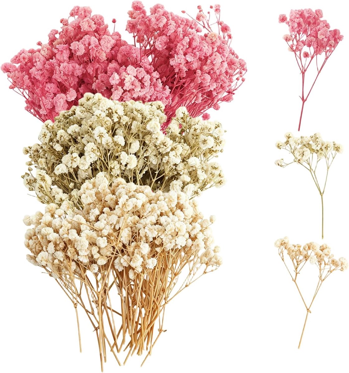 100 stuks gedroogde nevels, meerdere bloemknoppen Gypsophila, mist Gypsophila bloemen, natuurlijke gedroogde bloemen - ShopVlot