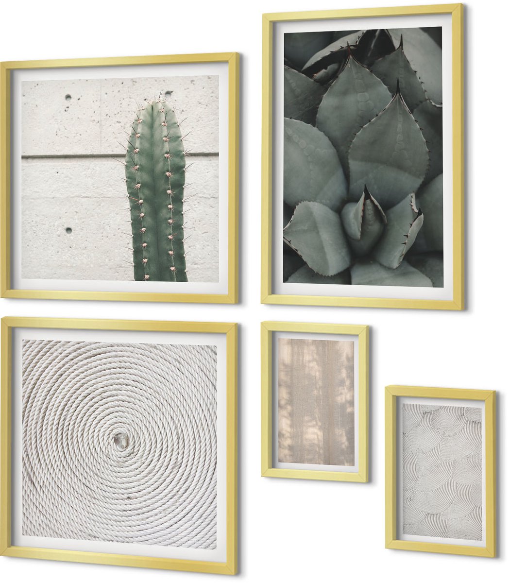 Coloray 5-Delige Schilderij Set - Zomerse Texturen Van Dichtbij In Een Tropisch Klimaat - 50 x 50 cm, 20 x 30 cm En 40 x 60 cm - Decoratieve Schilderijen - Woonkamer - Interieur - Muurdecoratie