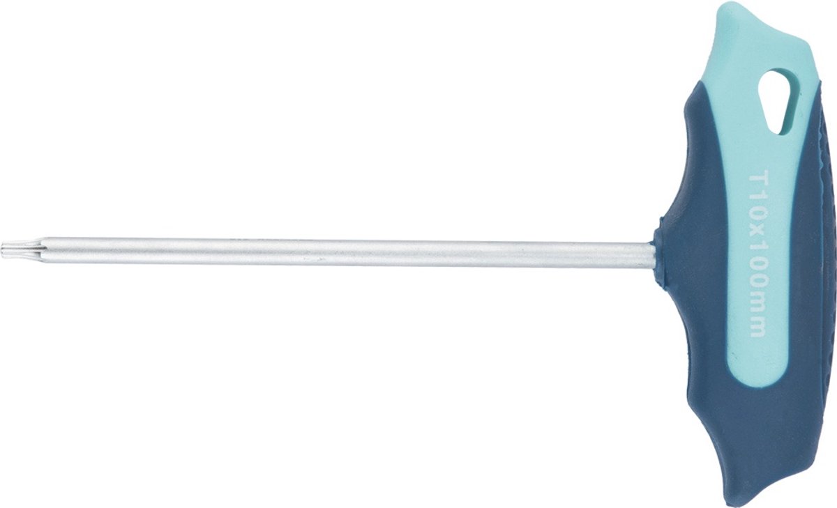 Schroevendraaier m.dwarsgreept T 20x100mm 2K-handvat TECWERK