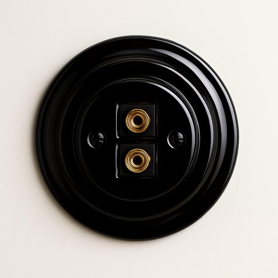 Recessed porcelain retro speaker box, 2-gang, All-in-One, series PR1 black - ShopVlot — afbeelding 2