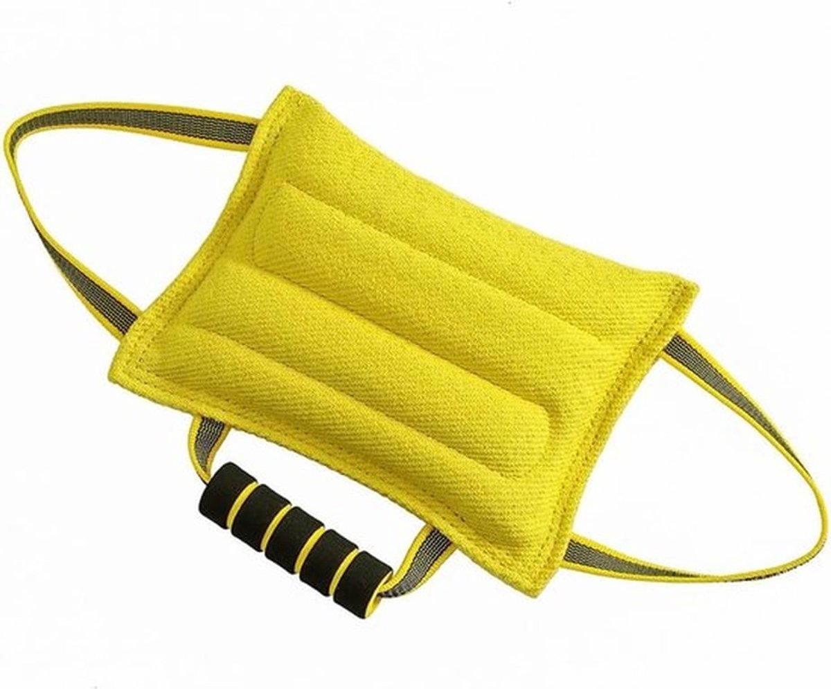 Hond bijt kussen 26 x 19 cm, speelgoed voor honden met 3 handvaten, bijtspeelgoed voor training en spel, ideaal voor actieve honden en puppy’s, 1 stuk, geel