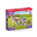 Schleich Horse Club speelset met witte paard met roze en blauwe versiering, meisje, hondje, koets, picknickkleed en mand.