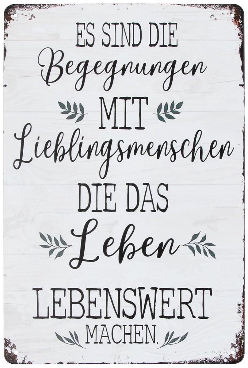 Solidchoice - Vintage Metalen Bord 20 x 30 cm voor Wanddecoratie