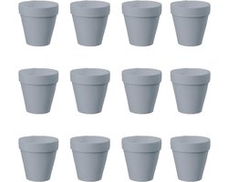 12 Stuks Terracotta Potten, Met Drainage Gat Terra Cotta Potten Sappige Cactus Kwekerij Pot, Voor Planten Ambachten Bruiloft Gunst, Diy Ambachtelijke Projecten (5.5 * 5cm-grijs)