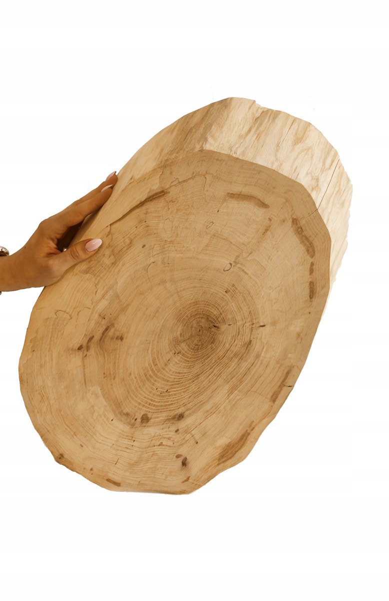 Elmhout Schijf Tafelblad 50-55cm, 5cm dik, Geschuurd, Zonder Bast