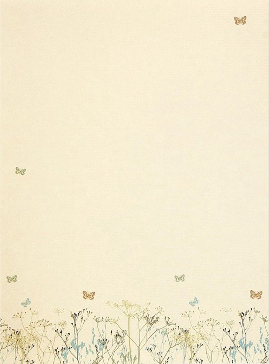 Mooi Briefpapier- en Enveloppen-Set met Vlinders