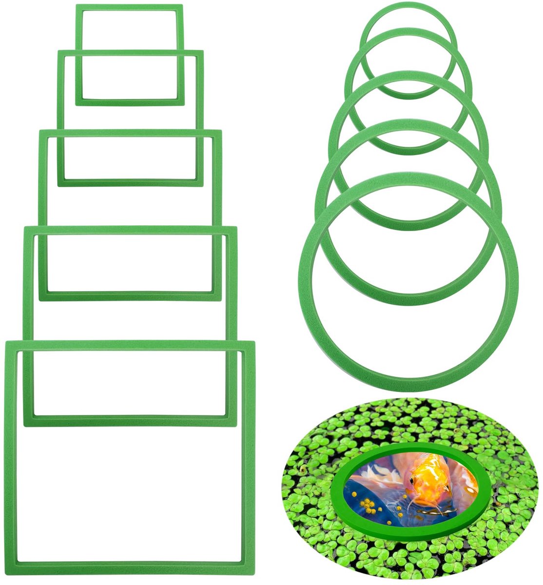 10 stuks visvoerringen, drijvende plantenringen voor aquarium, ronde en vierkante visvoederringen, drijvende plantenringen voor aquaria, voor zoet water, zout water voor het vasthouden of scheiden van