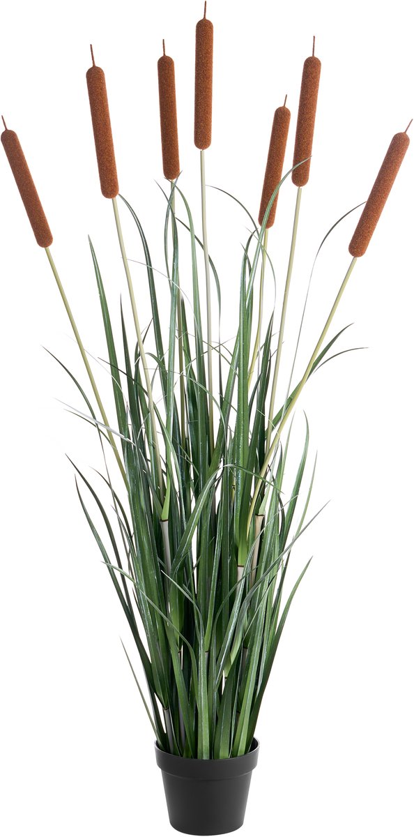 BULRUSH - Kunstplant in pot - Groen - 135 cm - Plastic