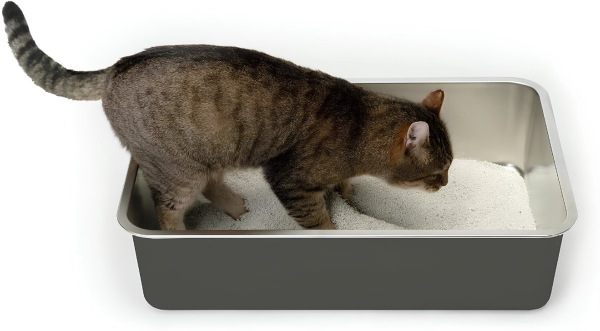 LNMsolutions® Kattenbak - Kattenbakvulling - Kattentoilet - Zilver - 15cm x 59cm x 39cm