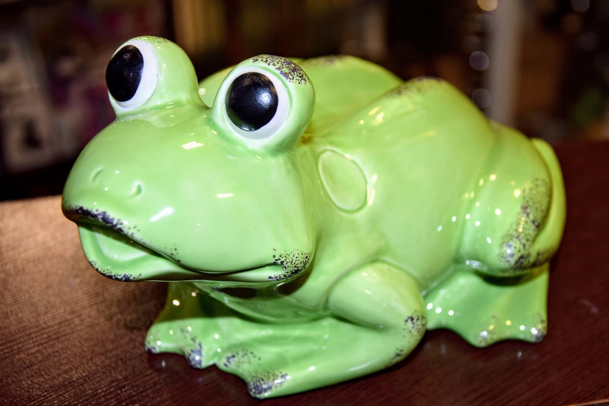 Grappige Kikker Figuur 14cm - Decoratie voor Huis & Kantoor