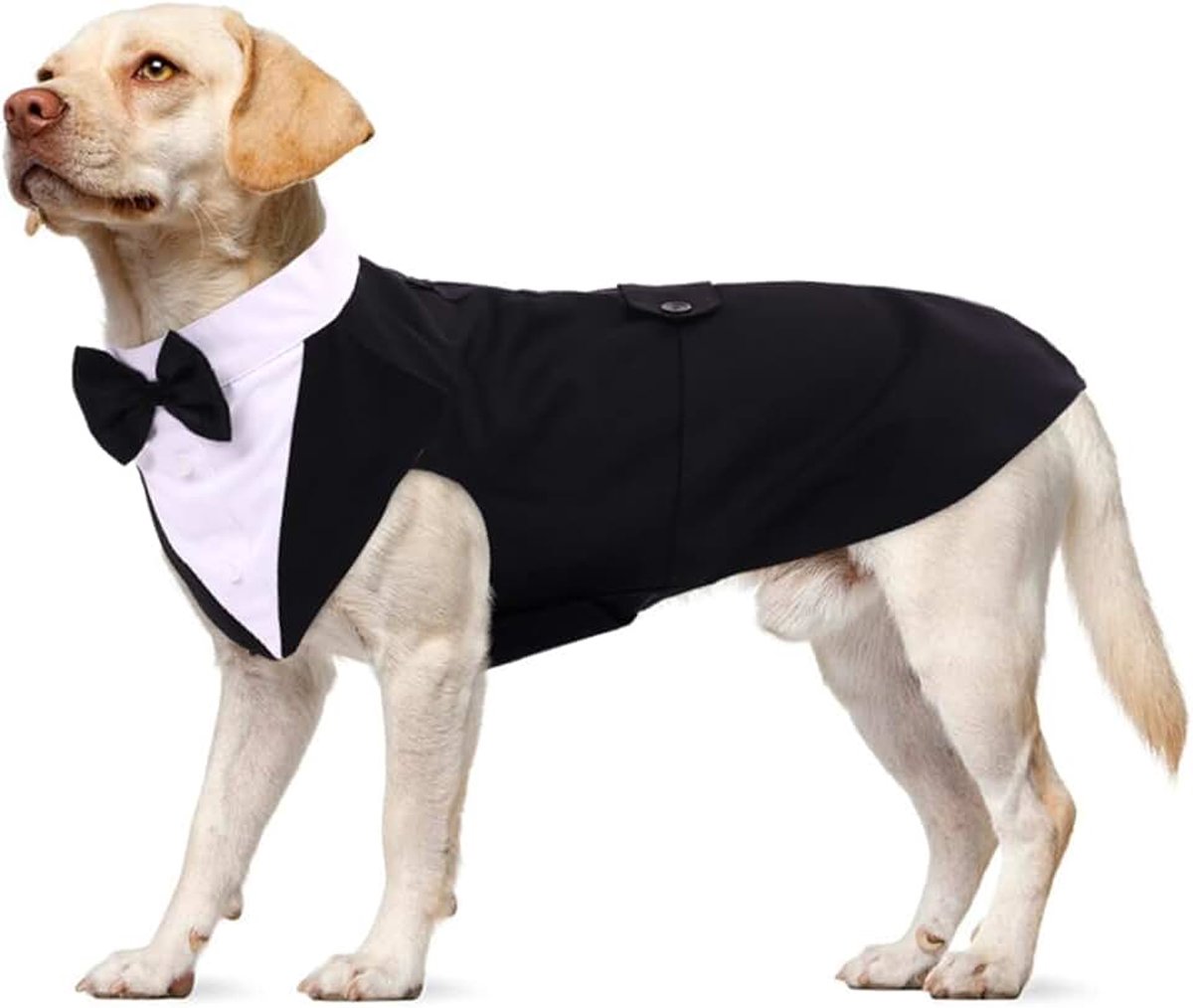 Trouwpak voor honden, smoking-kostuum, formele feestoutfit, befje met afneembare vlinderdas en knoopjes, hondenkleding, voor kleine en middelgrote honden (zwart, XL)
