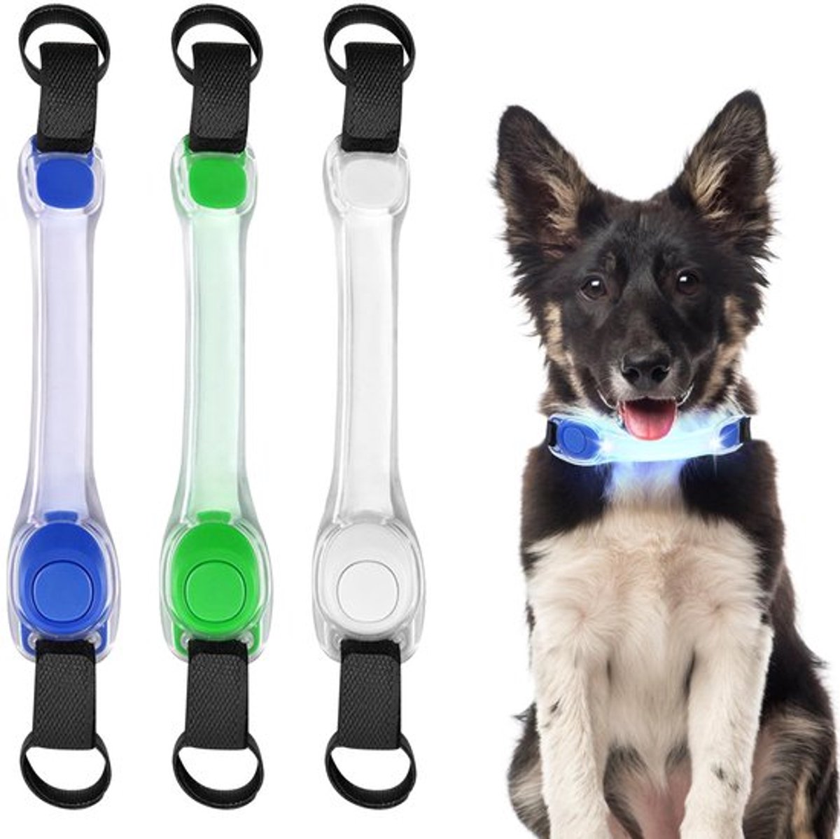 Luminous hondenhalsband - Waterdicht - 3 Verlichtingsmodi - Veiligheid - Hond - Ideaal voor Avondwandeling - Groen