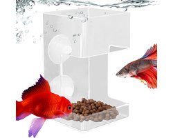 Voederbak Aquarium - Visvoer Houder - Vis Voeren - Voorkomt Voedselverspreiding - 6x6x10 cm - Transparant