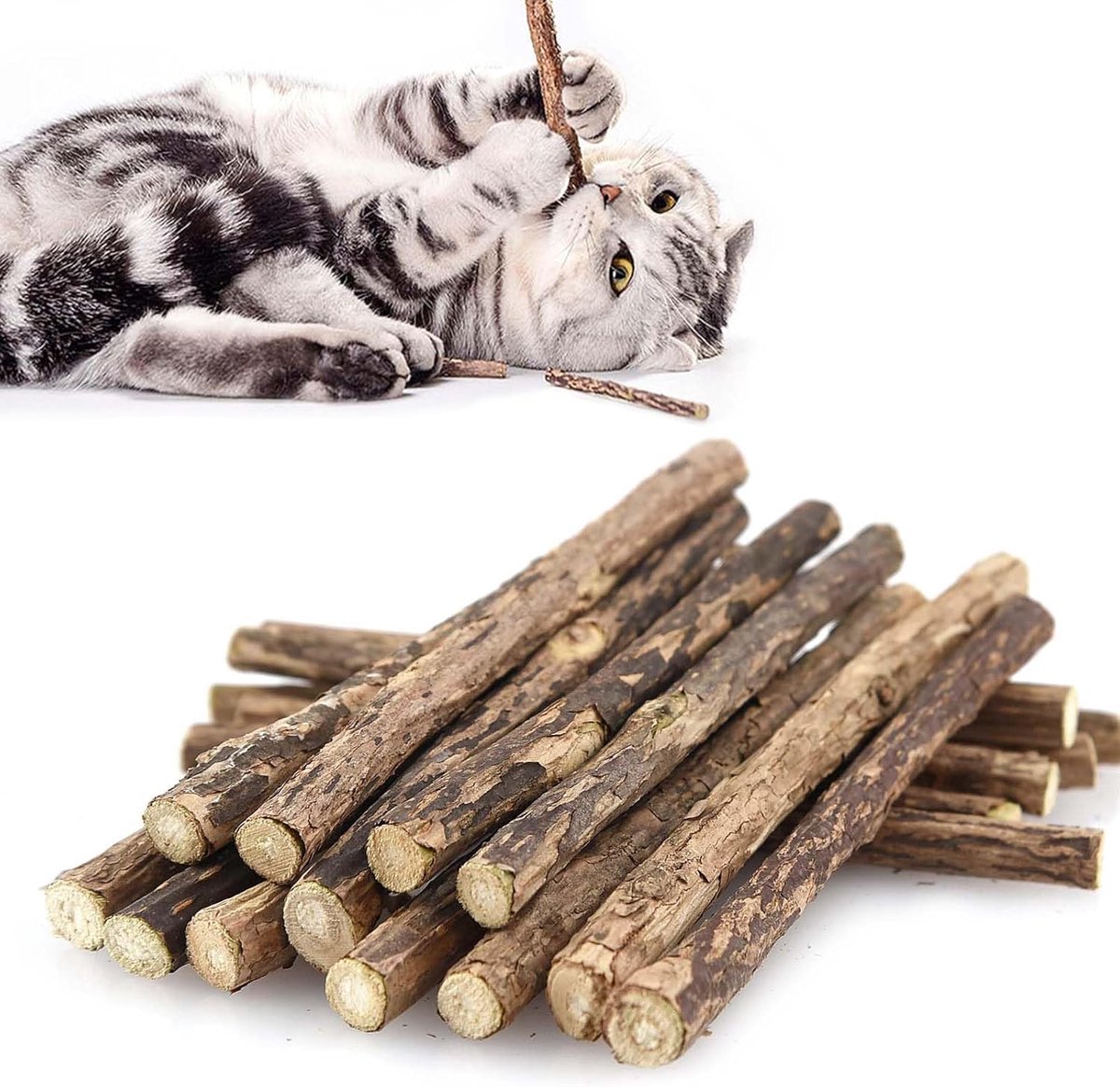 Thijox - 30 Stuks Matatabi Kauwsticks voor Katten | Natuurlijk Kattenspeelgoed | Zilveren Wijnstok Sticks | Perfect voor Speelse Katten | 100% Natuurl