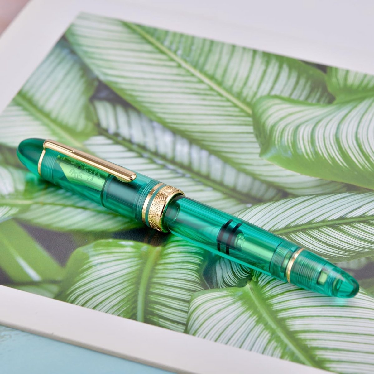Elegante vulpen met zuigermechanisme, grote capaciteit, fijne nib, transparant groen acryl en luxe verpakking voor schrijfliefhebbers