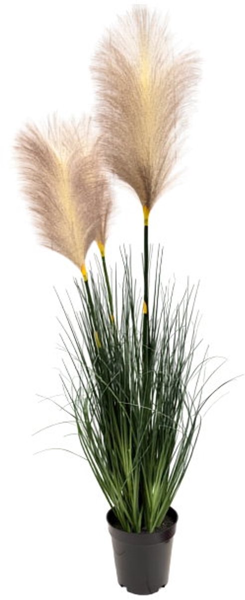 Pampasgras perzik H 81 cm kunstplant Oosterik Home