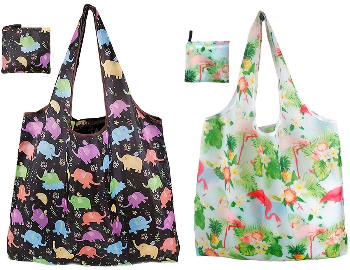 Dailygoods- Boodschappentas Herbruikbaar - Boodschappentassen Stevig - Boodschappentas Opvouwbaar - Shopper - Boodschappentas Met Rits - Winkeltas