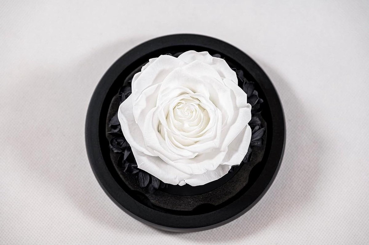 Eeuwige Roos - Bewaren Bloem - Romantisch Cadeau - Lange Houdbaarheid - 12 x 13 cm - Wit