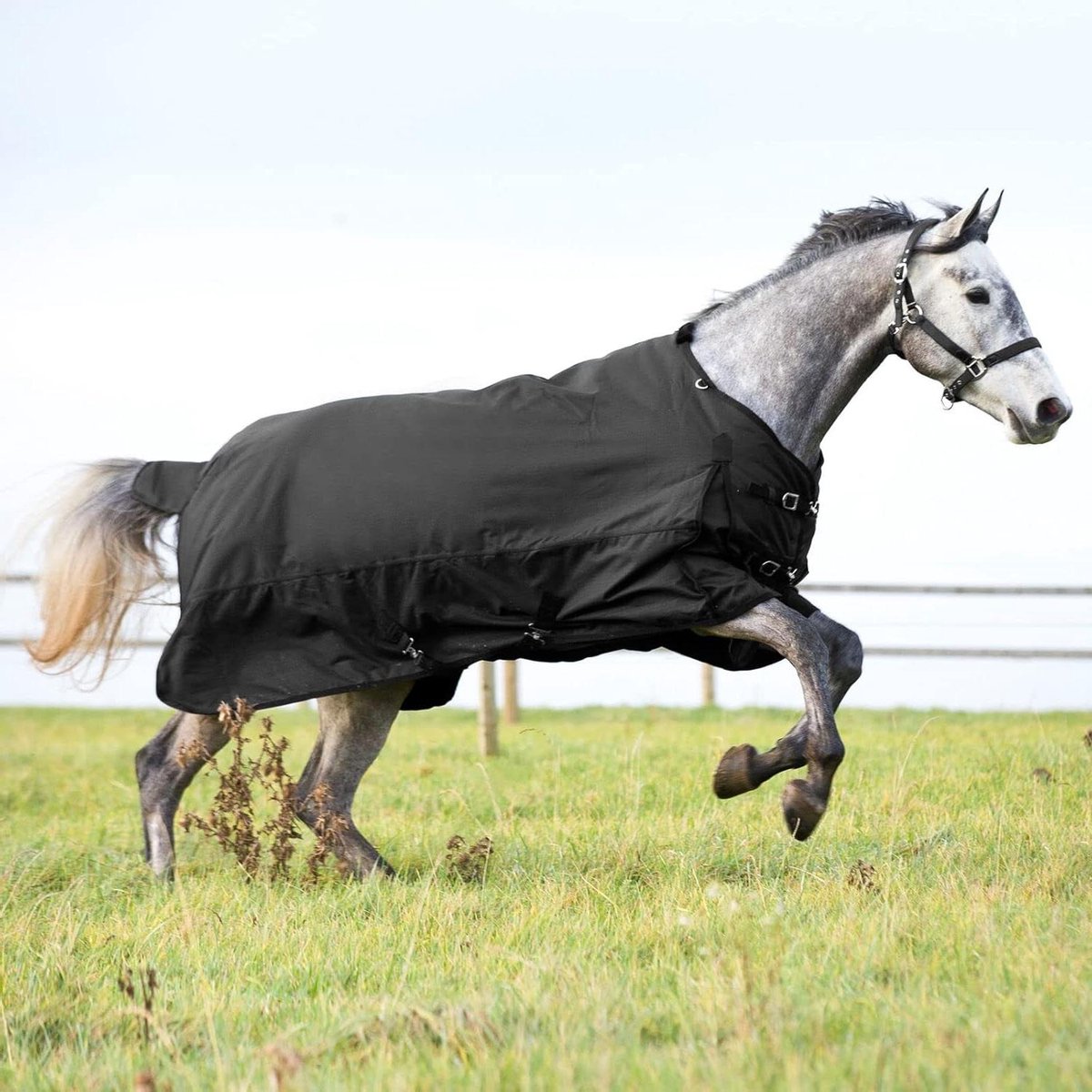 Paardendeken Medium Gewicht - Paardentapijt - Bescherming Paard - Waterdicht 3000mm - 115 cm - Zwart