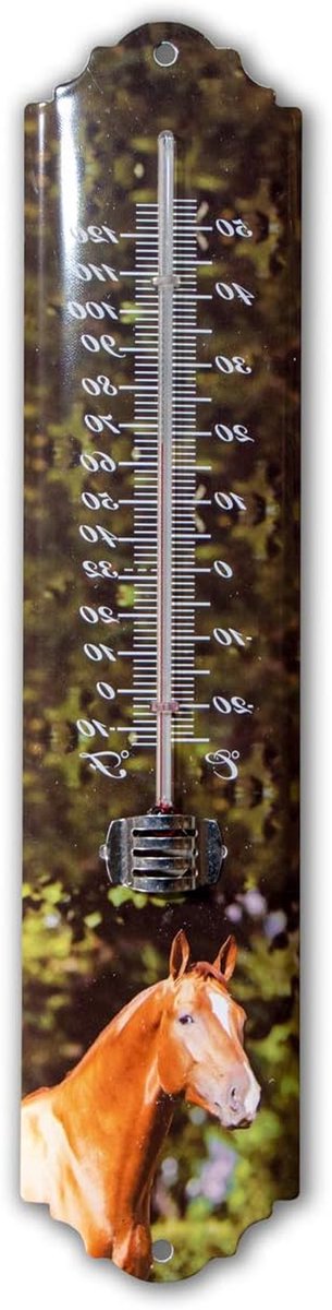 Dierenthermometer - Buitenthermometer Paard - Temperatuur Meten - Groen Gelakt IJzer - 295 cm Hoog - Groen