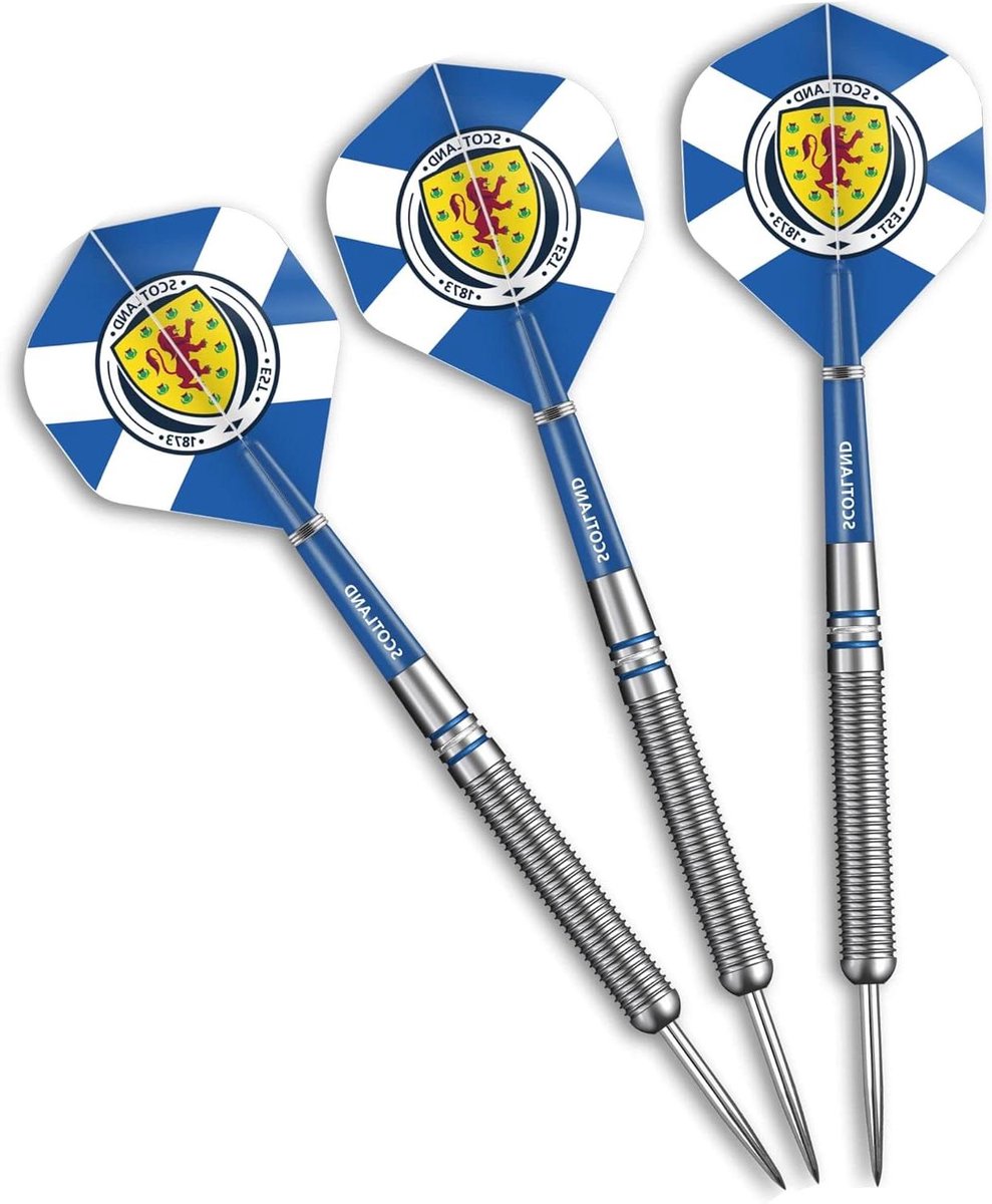 Stalen Darts - Dartpijlen Set - Precisie Werpen - 90% Tungsten - 24g - Zilver