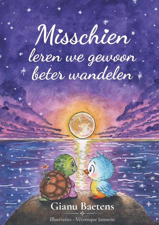 Misschien leren we gewoon beter wandelen - cover