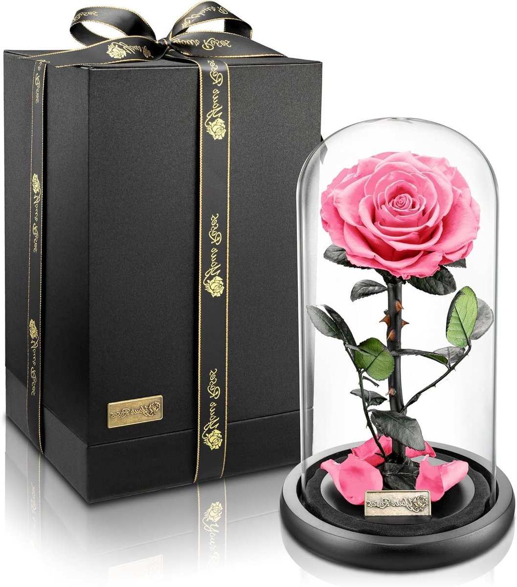 Geconserveerde Roos - Eeuwige Bloemen - Liefde Tonen - Lange Houdbaarheid - 29 cm Hoog - Roze