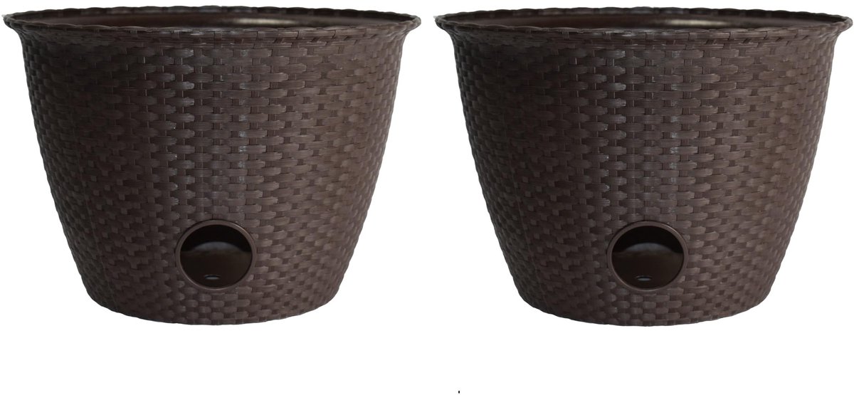 HC Companies Slang Pot, Bruin