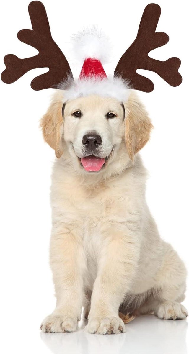 Kerstmuts Huisdier - Rendier Gewei - Feestelijke Fotoshoot - Versterkte Vorm - Verstelbaar - Bruin