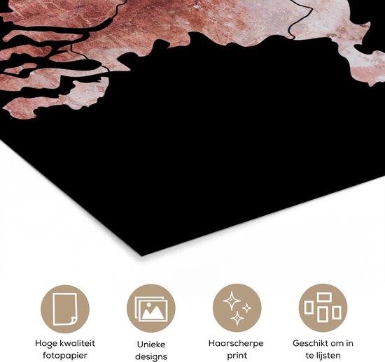 Détail d'une affiche représentant une carte des Pays-Bas en teintes rose délavé et blanc sur fond noir.