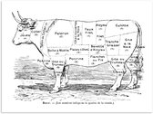 Affiche - Illustration avec le schéma du boucher de la vache - 120x90 cm