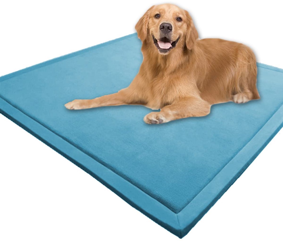 XXL hondenbedmat, zacht koraal fluwelen hondenkussen huisdierkussen, antislip wasbaar kattenwarm tapijt voor kleine middelgrote grote honden katten (60 x 45cm, blauw)