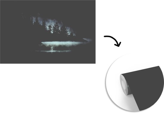 Papier fotobehang Photo Zwart et blanc d'une forêt brumeuse en Norvège