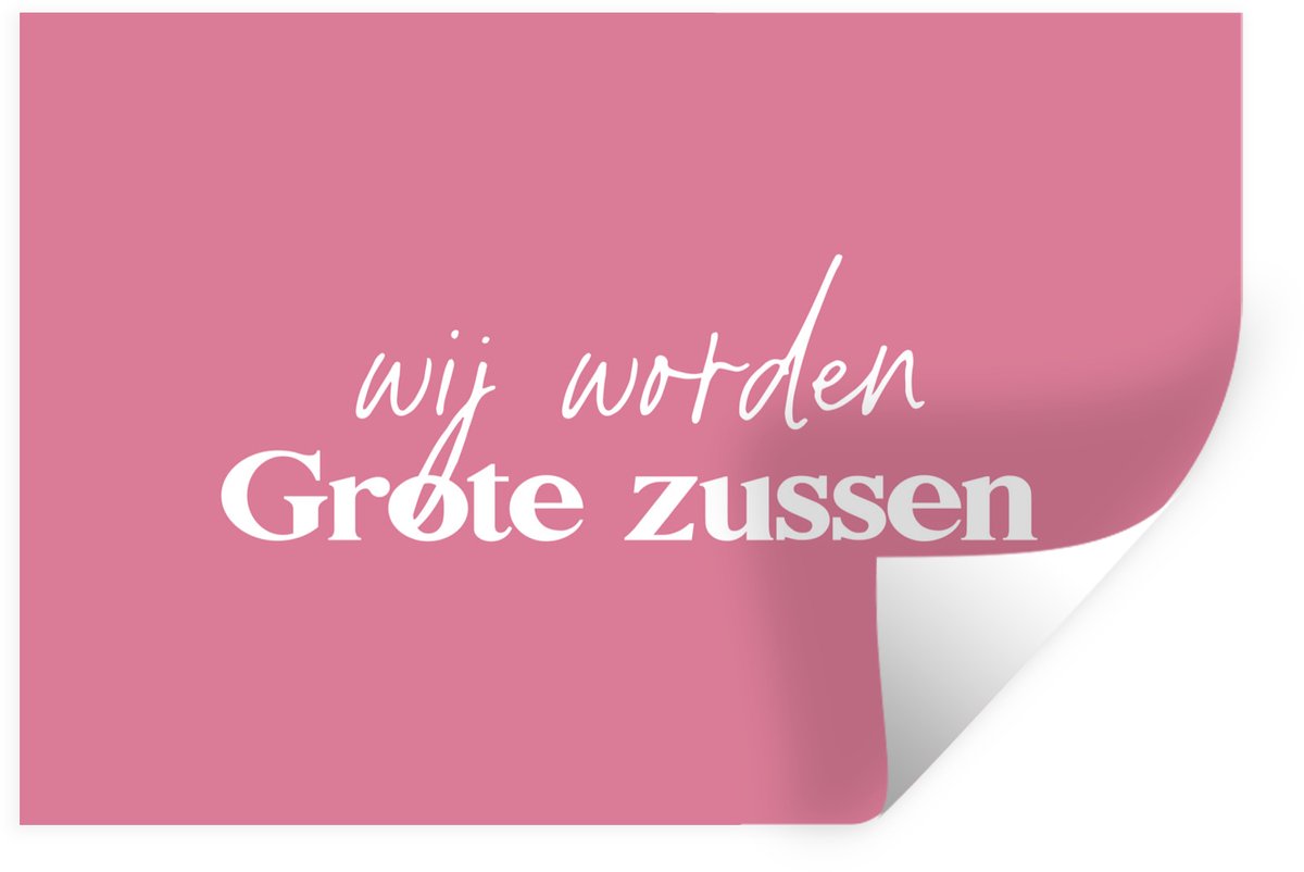 Muurstickers - Sticker Folie - Wij worden Grote zussen - Broertje zusje - Zussen - Quotes 