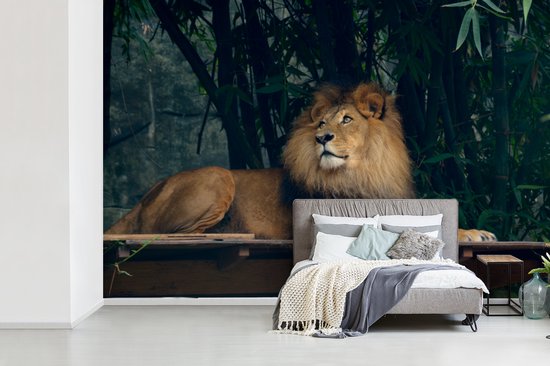 Papier Peint - Papier peint photo Lion - Forêt - Sauvage - Largeur 390 cm x Hauteur 260 cm