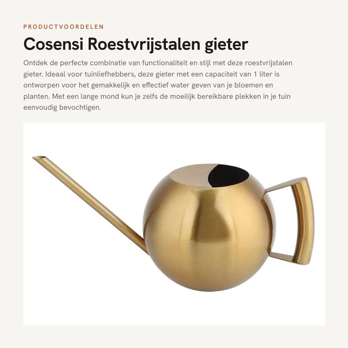 Dailygoods- Gieter 1 liter roestvrij staal - Gieter voor binnen - Gieter voor buiten - Gieter met lange mond - Gieter voor planten - Totale afmetingen 29 x 13 cm - Plantenbewateringssysteem