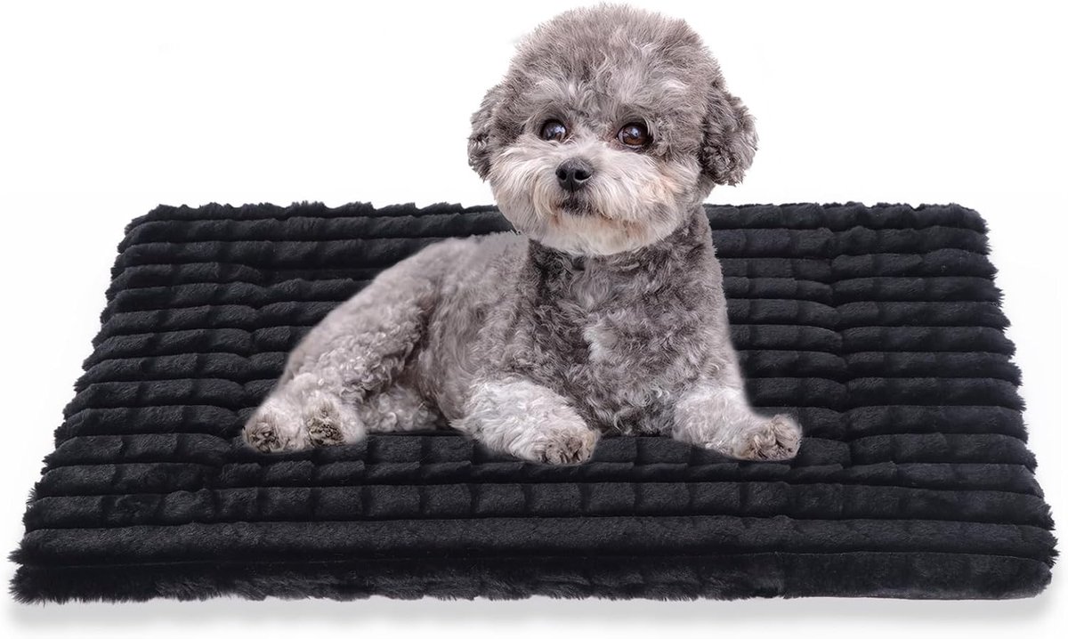 Hondenbed, wasbare kratmatras, antislip, traagschuim, zacht warm huisdierkussen voor kleine tot middelgrote honden, kalmerend, pluizig, slaapkennelkussen XH082 (61 x 46 cm, zwart)