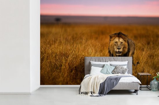 Papier peint - Papier peint photo Papier peint photo - Savane - Herbe - Largeur 415 cm x hauteur 300 cm