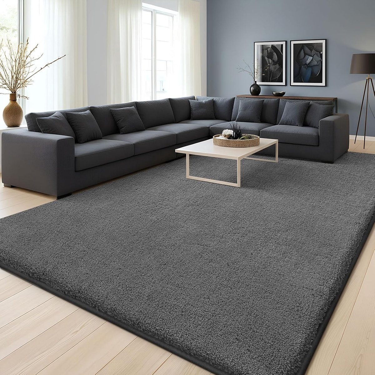 Modern vloerkleed voor de woonkamer 120x160 cm Zacht pluizig wasbaar vloerkleed Anti-slip onderzijde kortharig mat voor de hal, kinderkamer, slaapkamer, donkergrijs