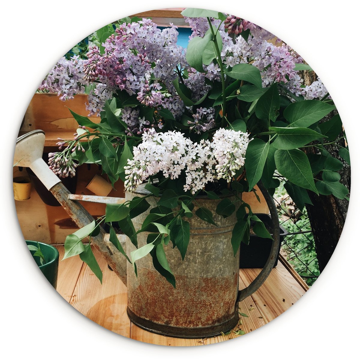 WallCircle® Wandcirkel 150x150 cm - Muurcirkel Gieter - Bloemen - Boeket - Muurdecoratie w