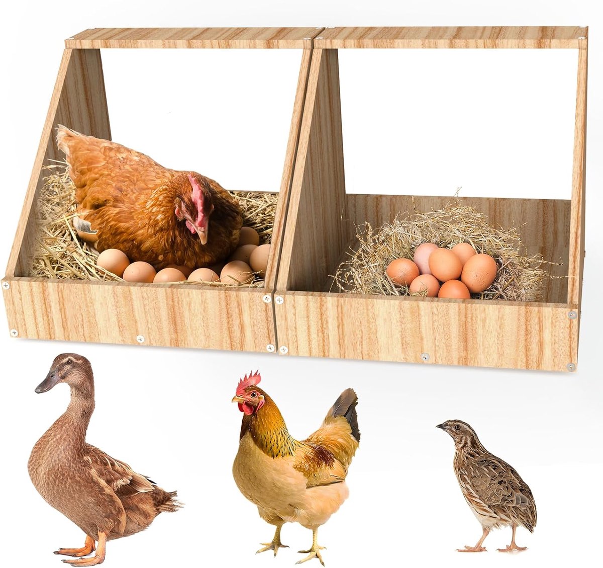 Gecarboniseerd En Geverfd Legnest Voor Kippen, 2 Stuks | 35,3 x 35,3 x 34,2 cm,Legnesten Voor Kippen,Geschikt Voor Wandmontage,Houten Accessoire Voor Kippenhokken