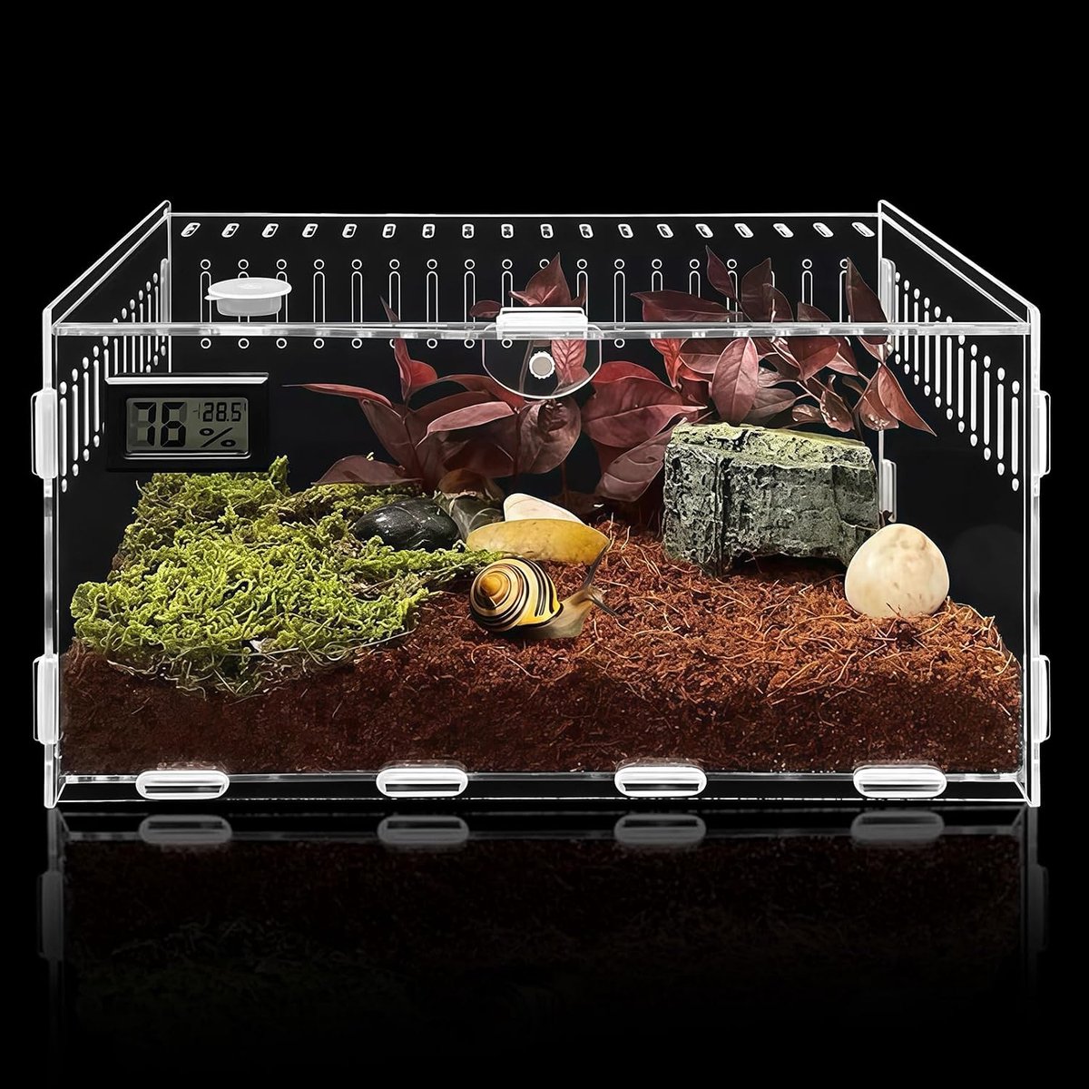 terrarium, slakken, terrarium, 30 x 20 x 15 cm, voor reptielgroei, mini, pc, transparant, container voor slakken, insecten, spinnen, vogelspinnen, luipaard, gekko, krab