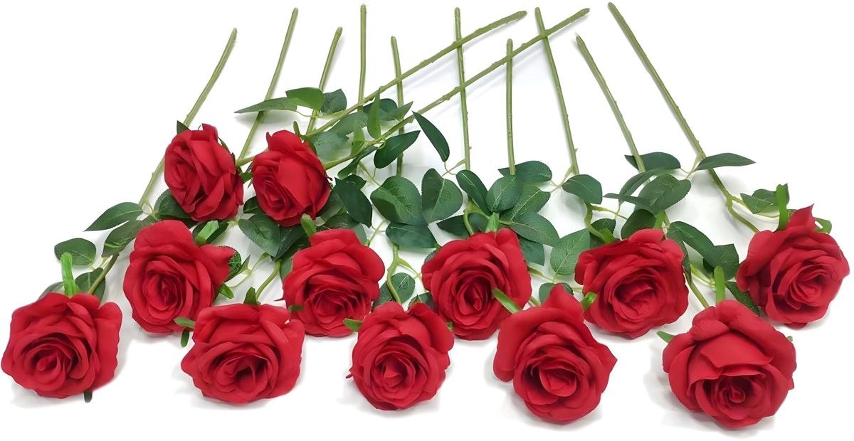 Omgoods - Set van 12 Kunstmatige Rozen in Rood