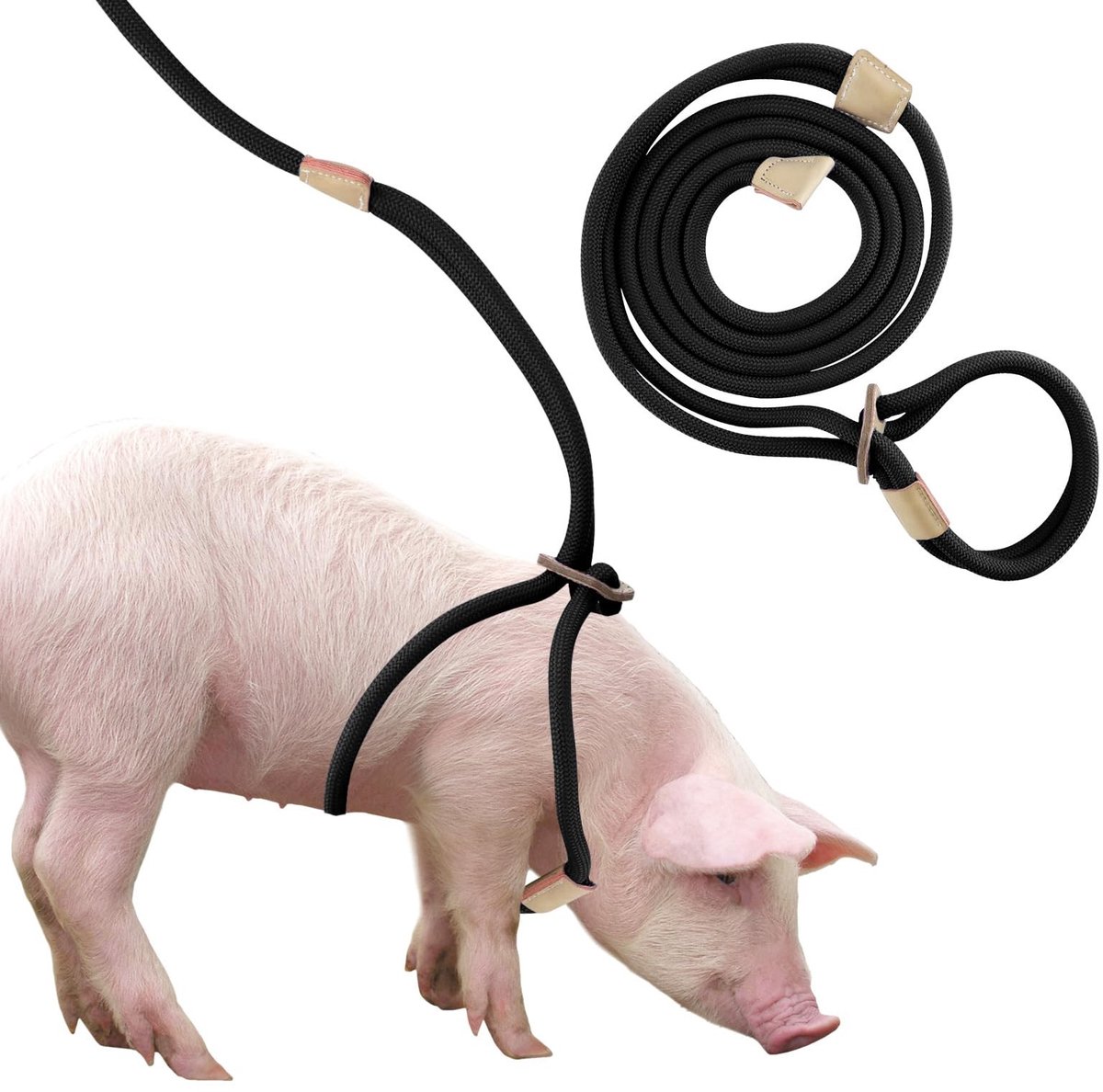 Omgoods - Mini Varkens Harnas en Leash met 2.6m Touw