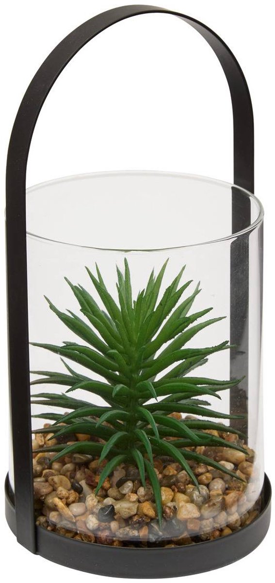 Terrarium WILO