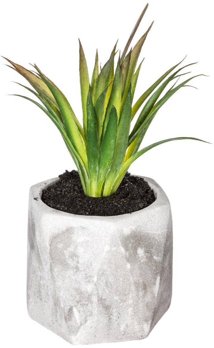 Kunstvetplant MASAO