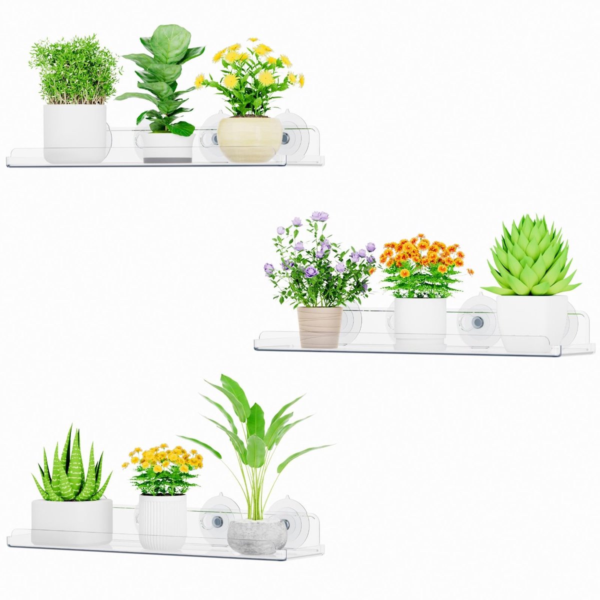 Omgoods - 15 Inch Raamplanten Drijvende Planken, 3-Pack