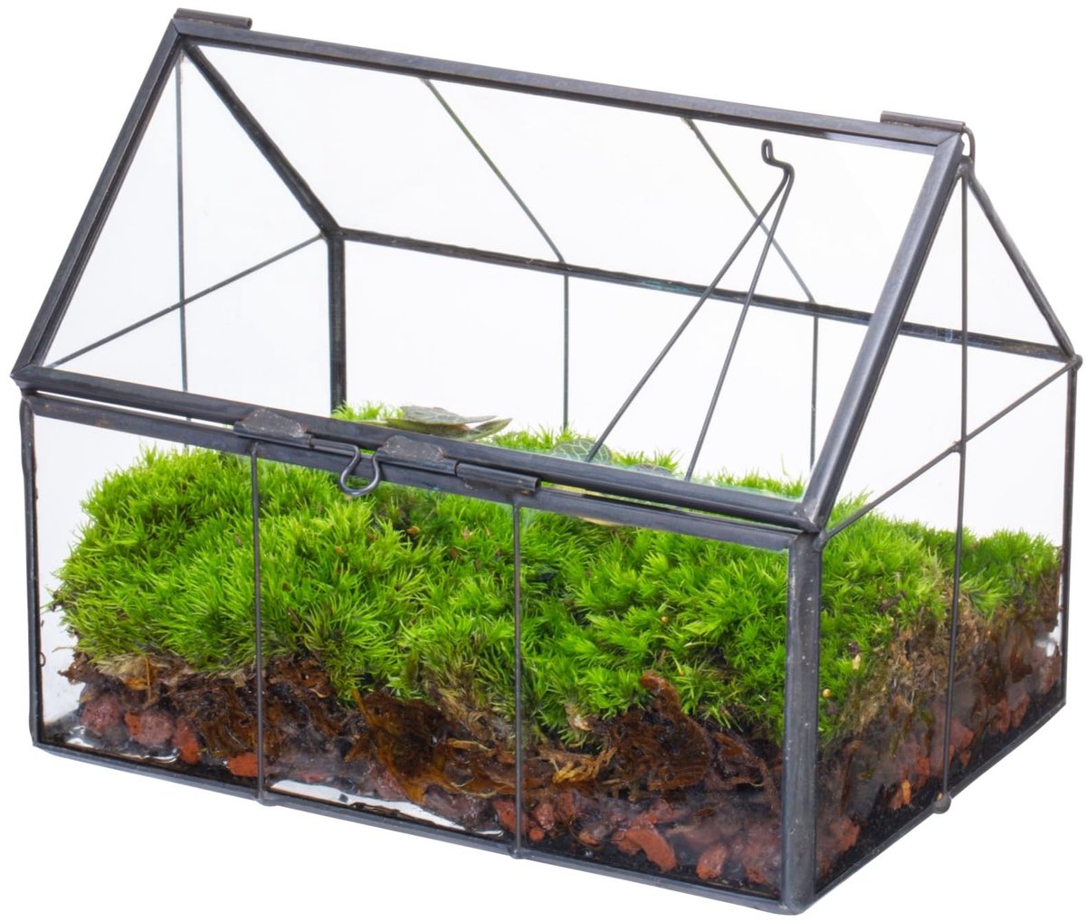 Omgoods - Mini Glazen Terrarium met Deksel voor Cactussen en Succulenten
